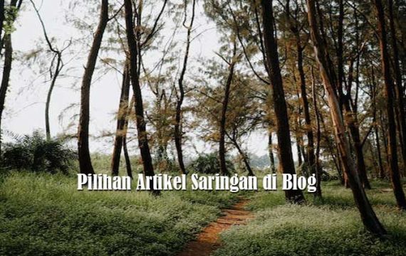 Pilihan Artikel Saringan di Blog