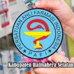 Sejarah Terbentuknya Persatuan Ahli Farmasi Indonesia (PAFI)